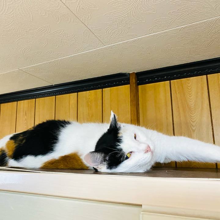 83591120 1f8c 4ff1 afb9 9935c58c0675 1691446771932