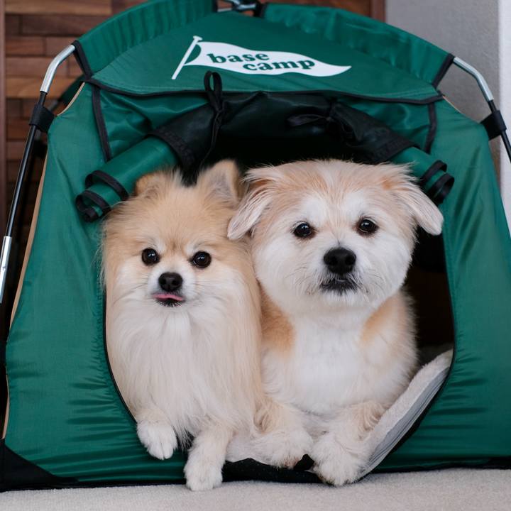 835995c4 587d 488e a3b1 a290e0215f43 1773437623603