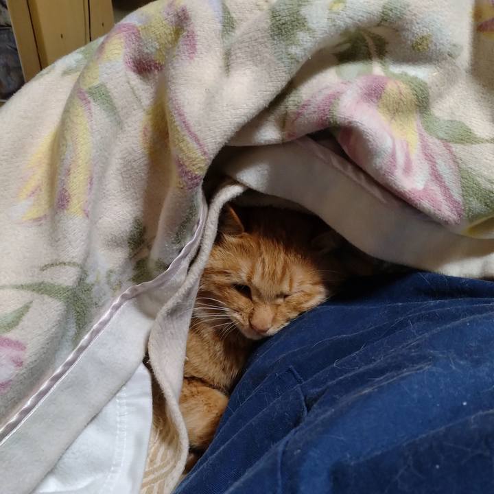 835a2c1a 4a5b 4226 a102 1f8140f457b7 1671021512422