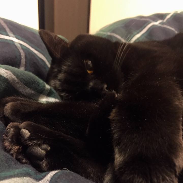 835a4d17 01be 456d b6d1 2e96731bb562 1577626090866