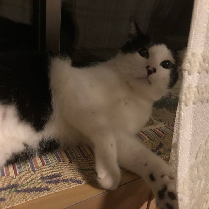 835a4f38 1471 40ce b5da 6855ada47d1a 1565013223653