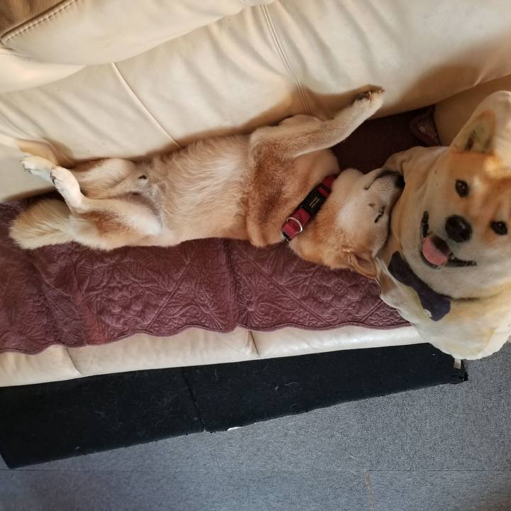 835a5249 118b 4caf 973a 6748cfff7047 1752355459859