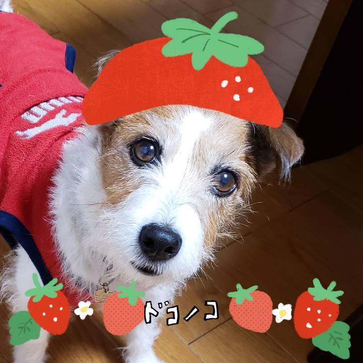 835a5699 eb55 4d1a 884a 876cf5603e25 1775533635105