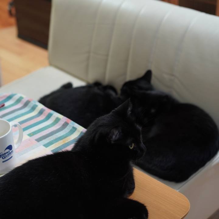 835a5ccd 2f3a 4fef 9228 160f6068de4a 1630626499449