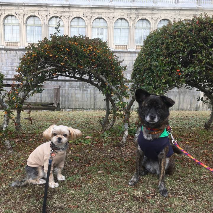 835a7214 656c 4aba aaa6 59653cfd73c5 1542643043411