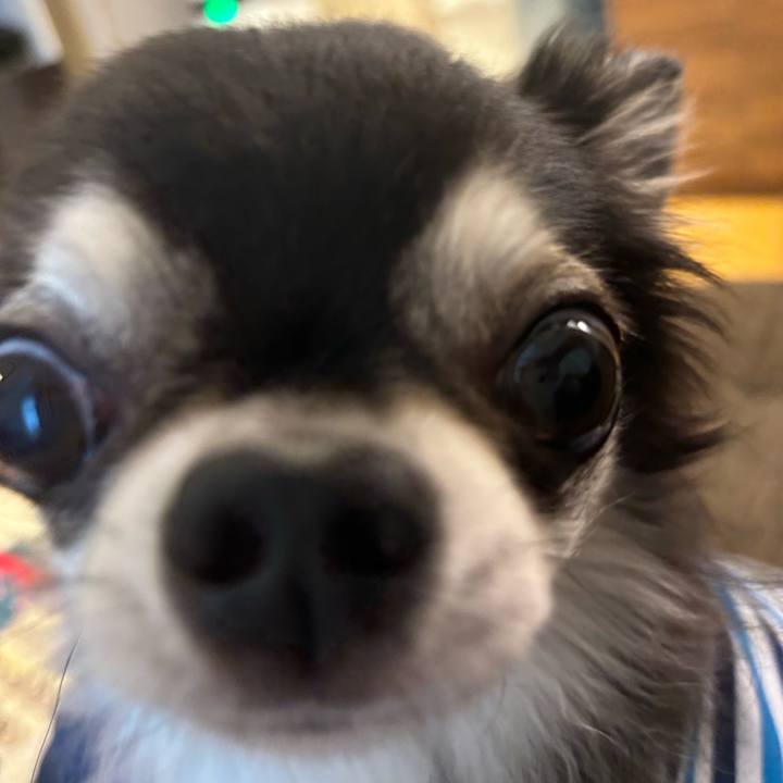 835a7c99 8107 4593 bc29 9f23c22aabb3 1720283328139