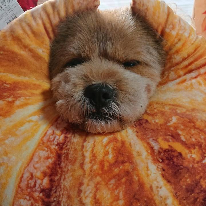 835abbd5 9607 47ed aa0c 60855ade42e0 1546815095926