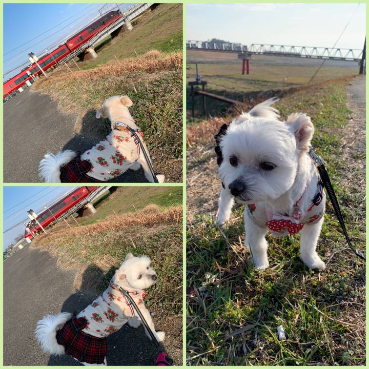 835ac898 967b 4292 b018 8bf296771237 1613199248471