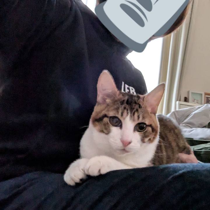 835aea52 a708 43f2 93d3 11f2341ca0aa 1738986576644