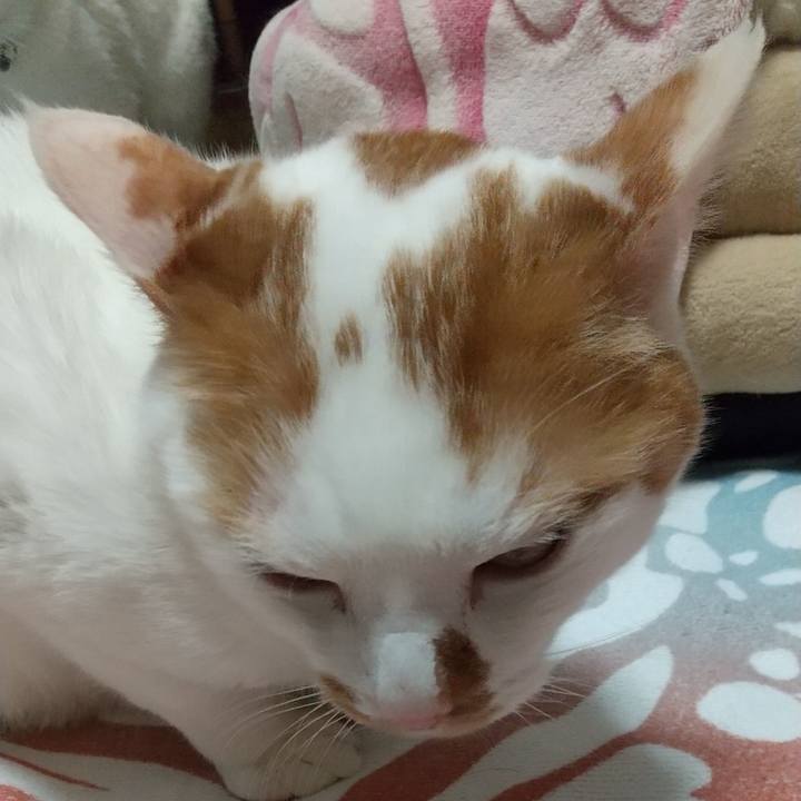 835b0c15 0f75 455c af0e 2cdaf8c59520 1747906472677