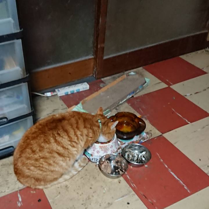 835b2389 c606 41b8 a5f9 c90a53a6c4ec 1580932196440