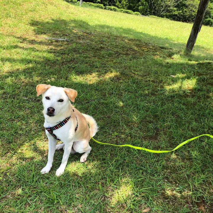 835b3c54 b12d 42ab b53b d9a2000068fe 1623501452574