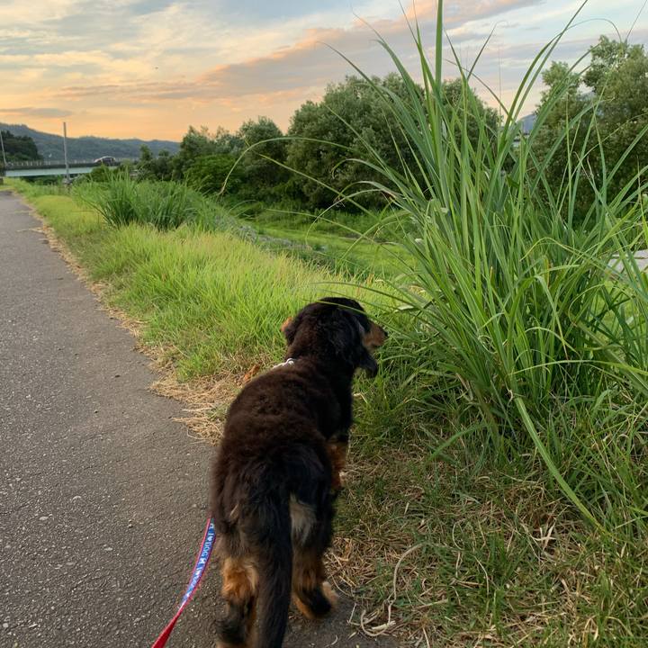 835b4a67 a6de 41ca 9e77 84937a218124 1628027248102