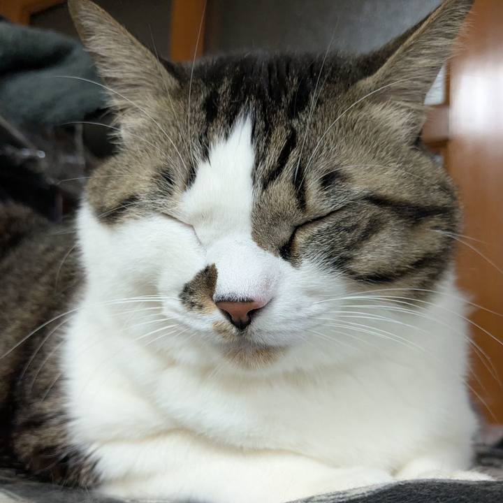 835b527d 14b2 404f a11f 929ac734f263 1767444454850