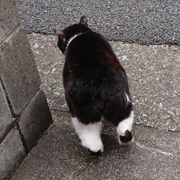 835b57d7 545a 4583 a981 fbe97255ac25 1680427820390