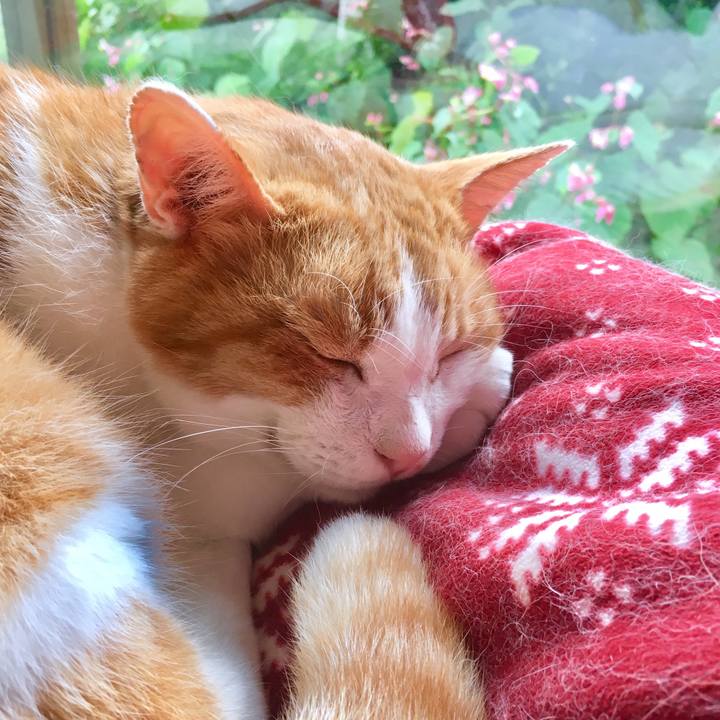 835b6032 02c3 4f67 b622 2543a5ce13e0 1566876428101