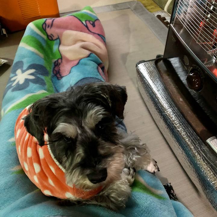 835b6a29 e26f 4a40 bbc0 9fd7de2b1cb5 1640678618744