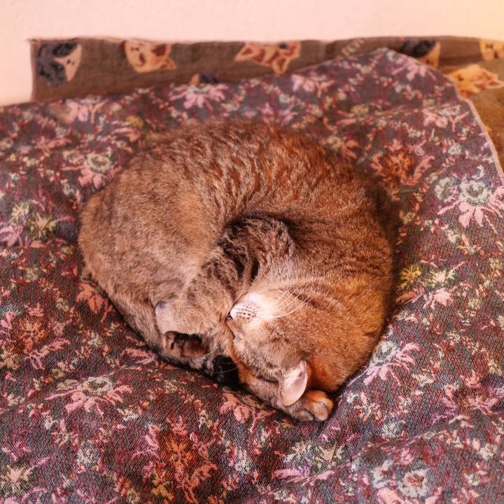 835b771b 03cc 41ec 9c42 17f504c94eac 1740132856700