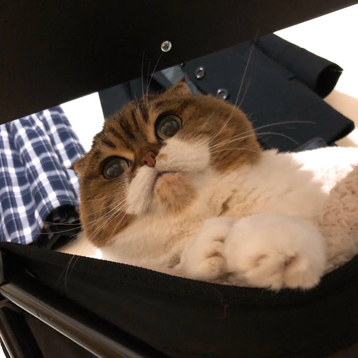 835b867d 1e0f 440f 8c15 667ce4ad8c98 1551859290028