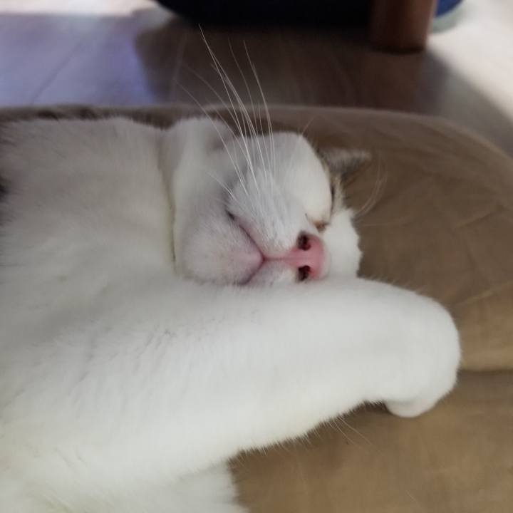 835b8720 56a9 4251 8db6 4bf503052994 1609585494197