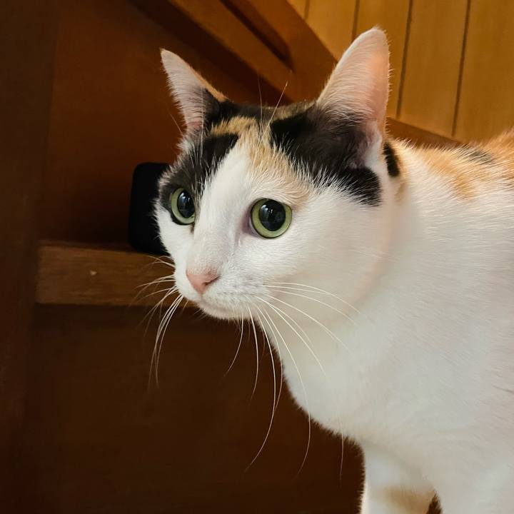 835bb2d5 81d4 4a24 8b08 4b9971491077 1641521627104