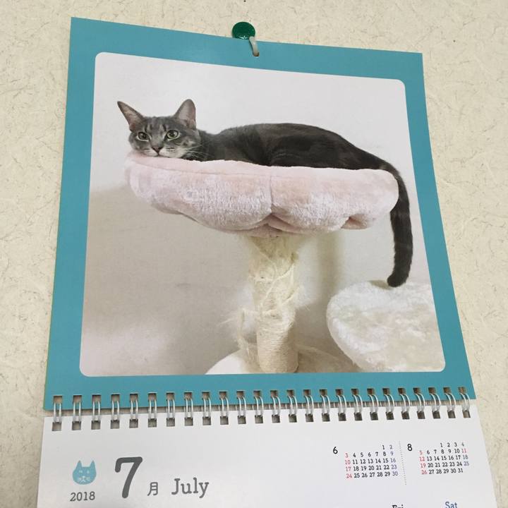 835bbbbe 180e 4946 bba6 7525f43bd126 1530415810532