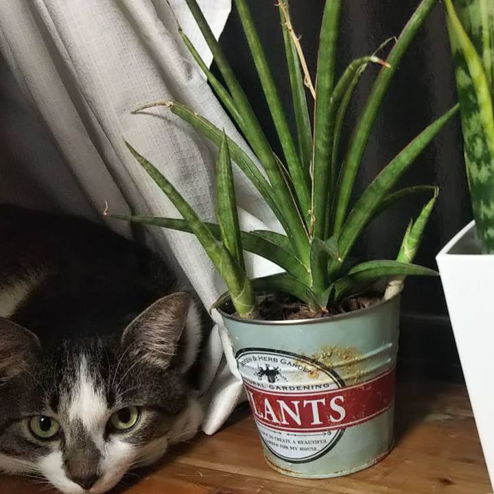 835c096f 23a6 4f88 812c fc039b0b34b8 1631286508467