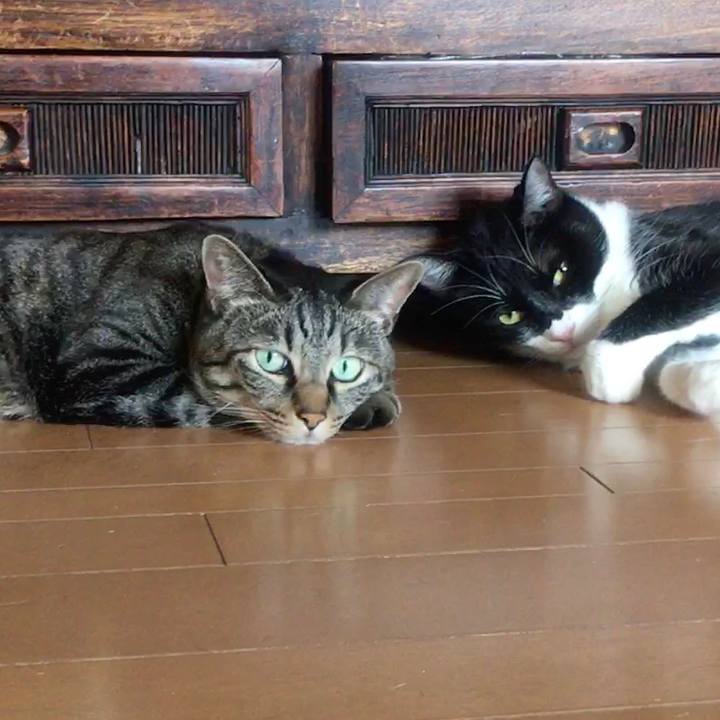 835c28bd 78a5 4dbd 9df2 8c9f05d24474 1582339297206