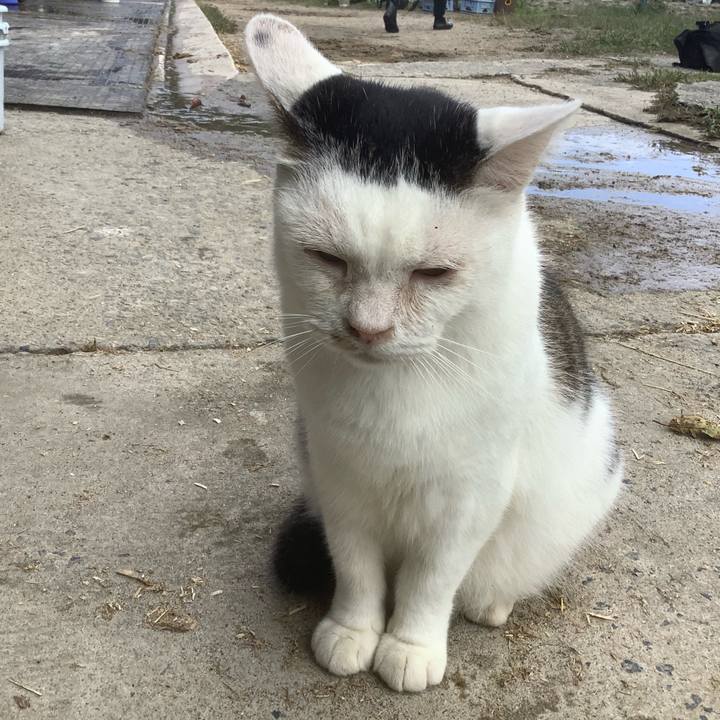 835c3b6b 77c6 4b66 ba15 eaabc8a6d6c1 1615121711064