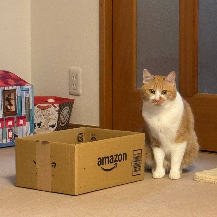 835c76d0 b70f 47f8 bce3 0e1ba9e85eae 1765680282148