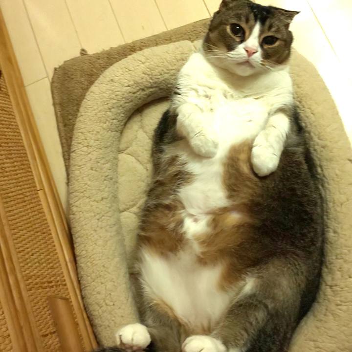 835c896f d461 4700 b9b3 6e06f896c60a 1606774810610