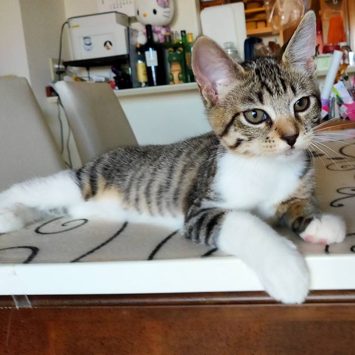 835c8d44 b8a2 48b6 865c 79e1994024f6 1627438039599