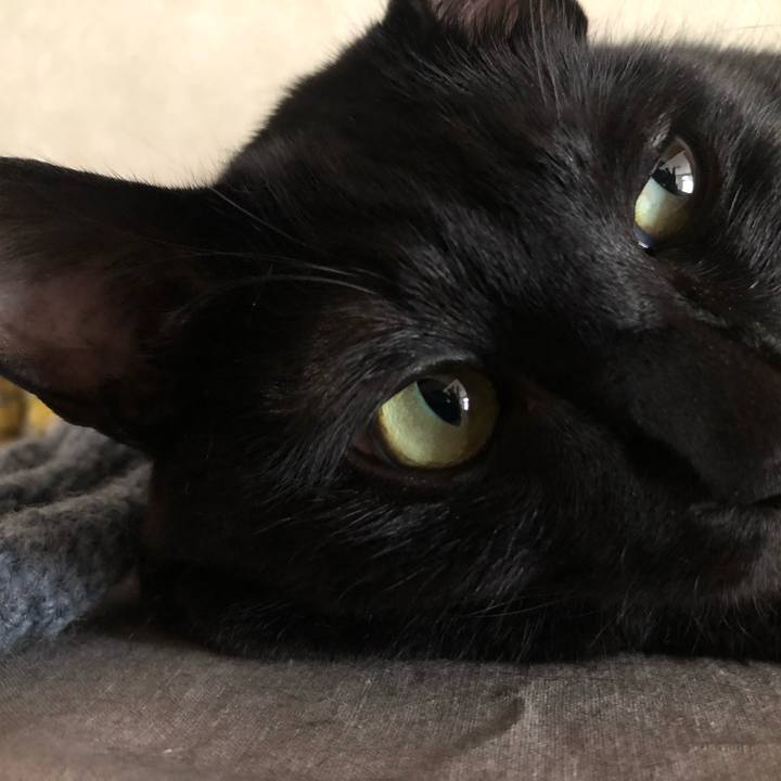 835c9fea 1401 4a98 821a 142dfb6d5994 1567555030780