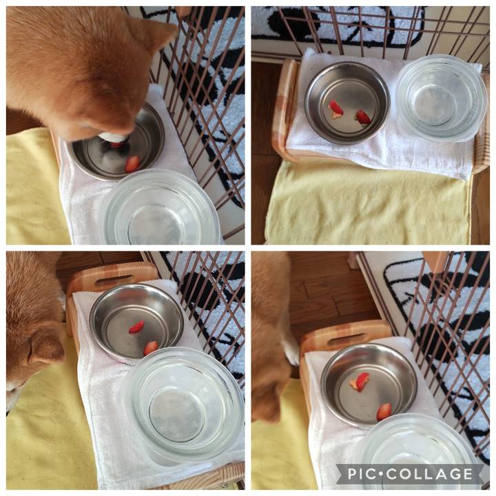 835d2108 27bb 404d aeea 37bee6b2a7d2 1773541418827