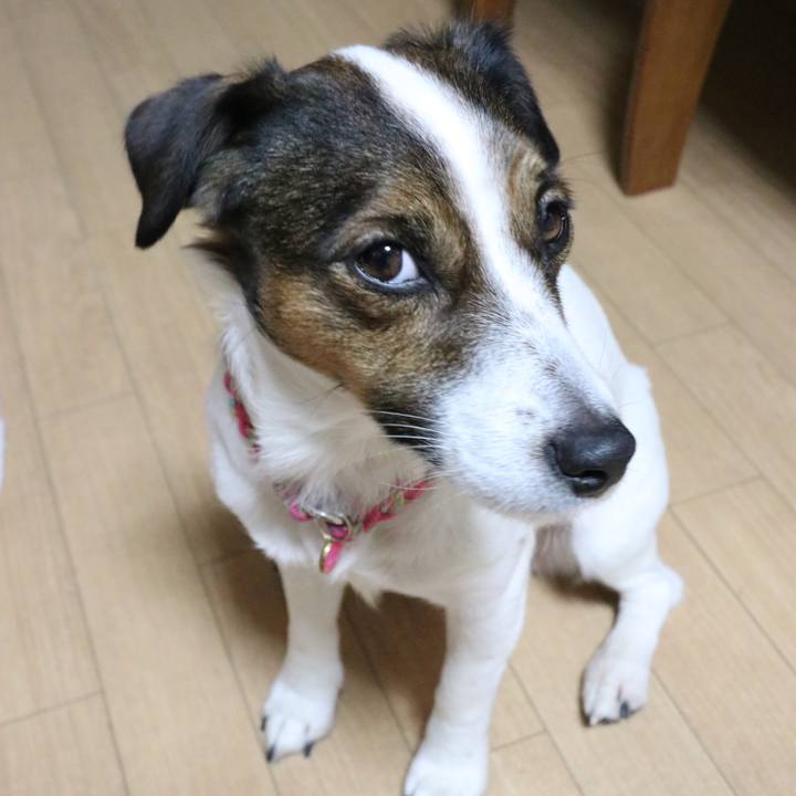 835d2c91 7773 4557 b3c3 126cf9febd37 1514973868954