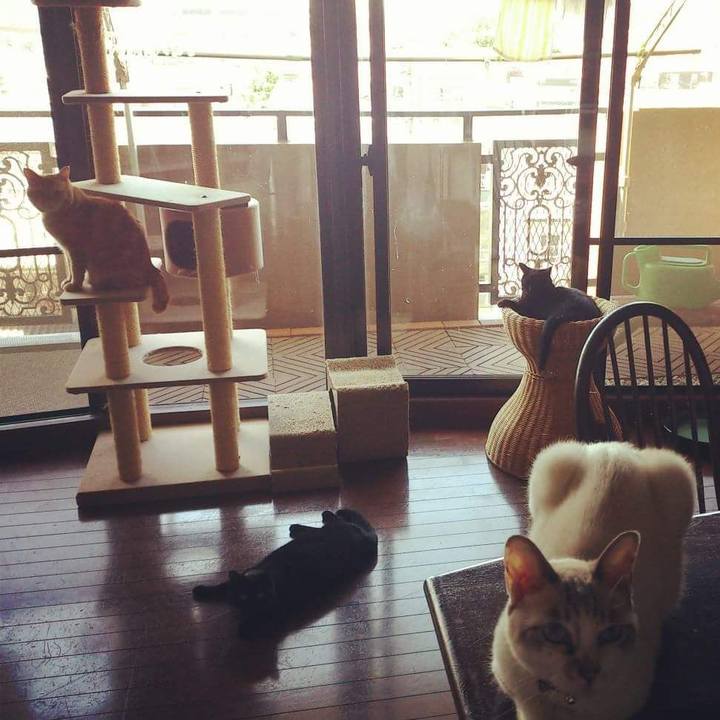 835d3f72 716f 4a29 8eb5 6322eea3cd36 1538470143718