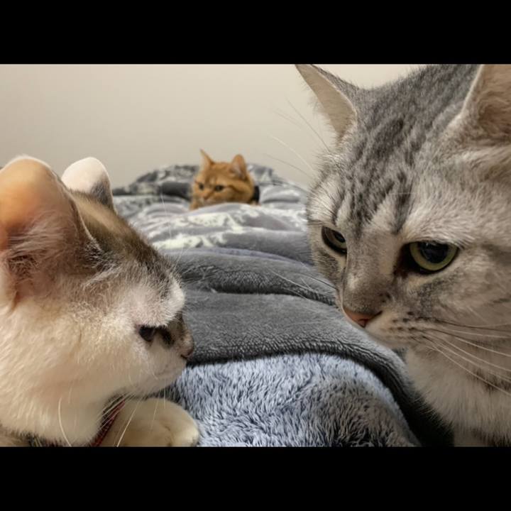 835d485e e570 4153 bced 2c561e135de0 1580771624346