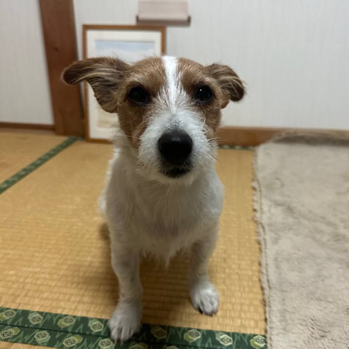 835d9b78 579e 4e52 8b80 0201bccd71e2 1765407309082