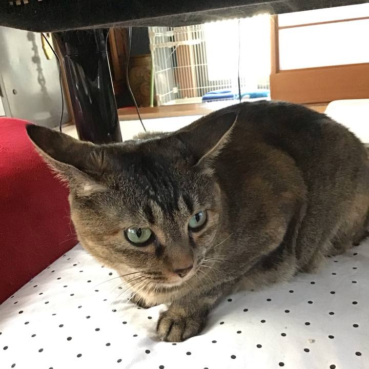 835df816 6aad 4d4c 84e0 f9db74a307f1 1689939883916