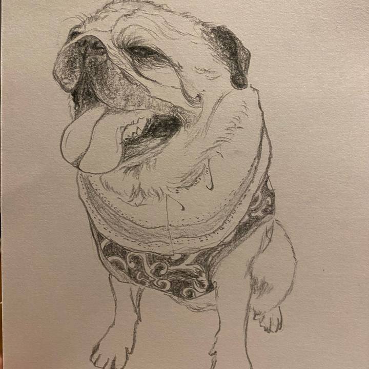 835e319b 695c 4d87 bff4 bf12fc2ca8ae 1656600296083