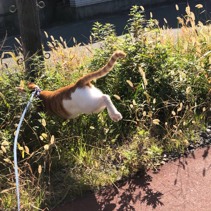 835e35ff 22e0 4a4f 9ddc 0a42ae22a94a 1541128249272