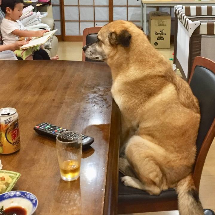 835e4a35 587f 4309 bf56 29c6875d2363 1529586000796