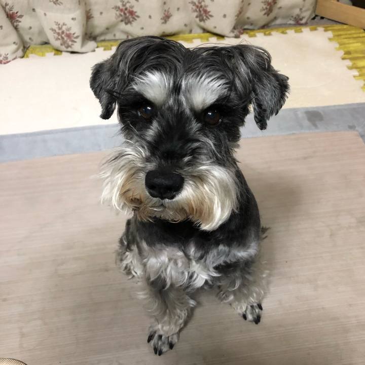 835e4dda 7066 4d72 9d86 fe551ebc1016 1652880898189