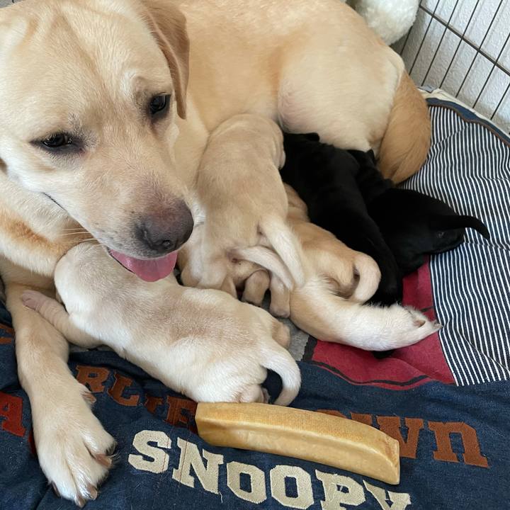 835e5e45 6d4f 4dbf 9516 08b924845ea6 1625474855760