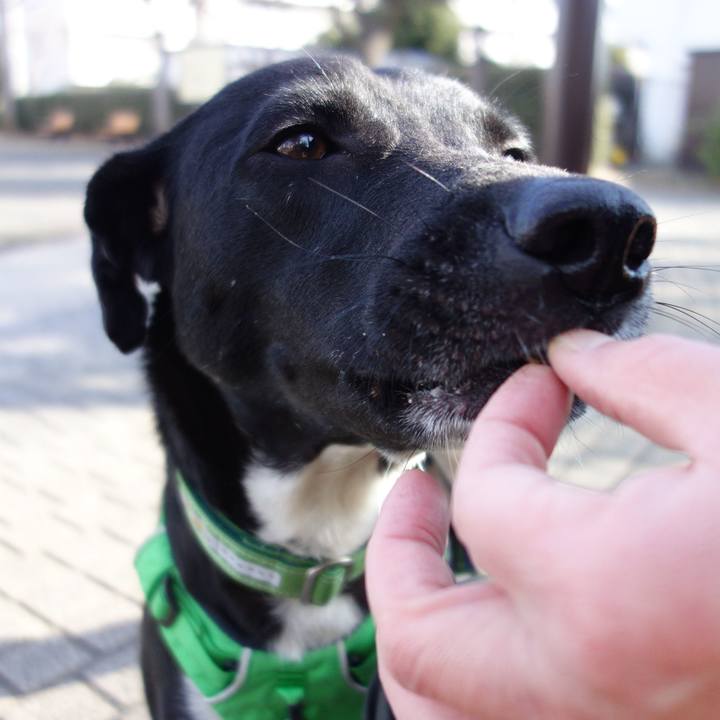 835e6dfe 76db 412e 9bd7 eff08f14144b 1581686567811