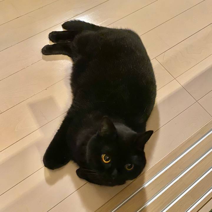 835e827d 0d61 4f22 830e 59c7a490b993 1630837095902