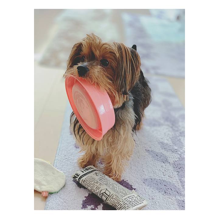 835ed8a2 6b01 4007 aabc bf5385286eee 1552016679302