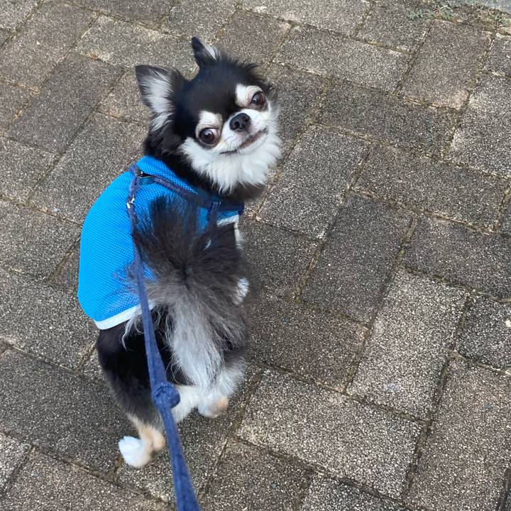 835efa5d 5ca7 4c75 bffb fe8e49098d73 1691854252534