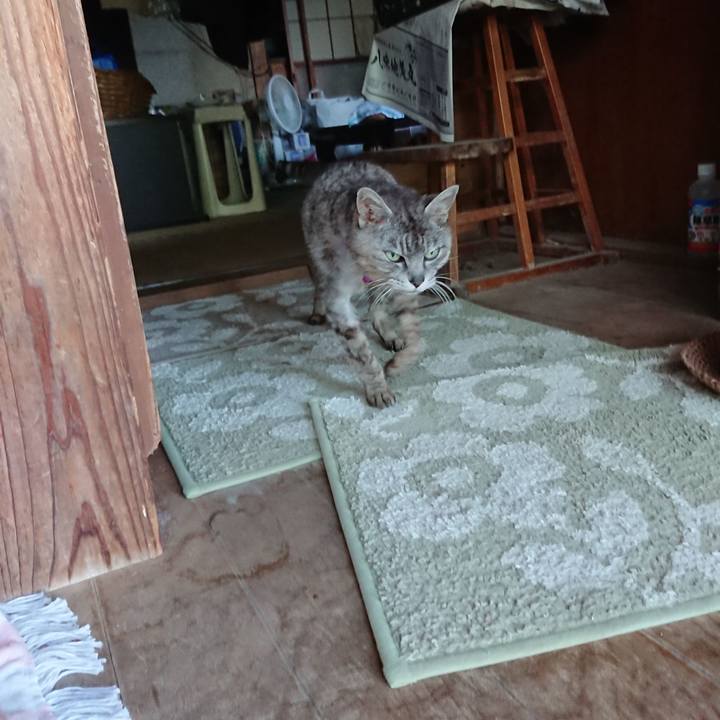 835f419e 1fb5 4164 9c76 7612d7a47cd5 1593681804435