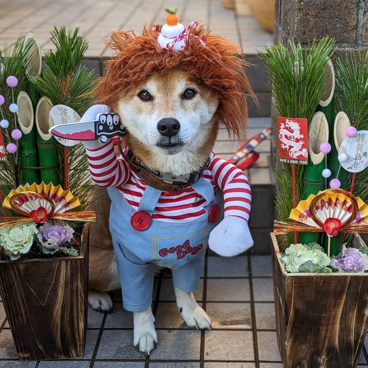 835f7382 5cf0 40aa bb8b cb07a14858a1 1704121609126